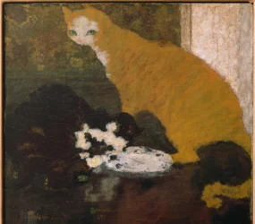 The Cats